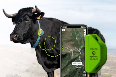 Digitanimal Localizador GPS para animales